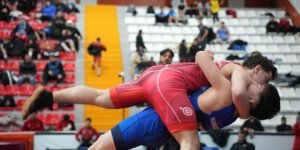 Kars'ta bin 500 pehlivan minderde ter döküyor