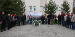 DOMATES, BİBER, HIYAR VE PATLICAN FİDELERİ TOPRAKLA BULUŞUYOR