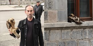 Kars'ta yaralı şahin için nefes kesen kurtarma operasyonu!