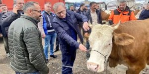 Kars Valisi Ziya Polat, Kurban Pazarında üreticilerle bir araya geldi