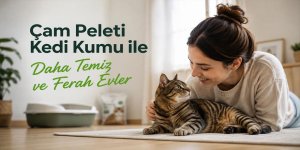 Çam Peleti Kedi Kumu ile Daha Temiz ve Ferah Evler