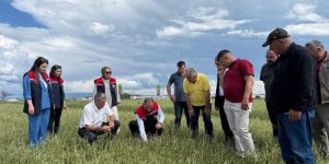 Akyaka’da Zarar Tespit Çalışmaları Titizlikle Sürüyor