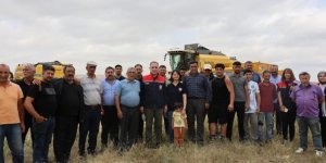 Kars'ta 2026 Hububat Hasat Sezonu Başladı