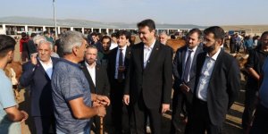Arıkan Kars Canlı Hayvan Pazarı’nda üreticinin nabzını tuttu