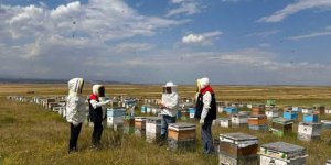 Arıcıya ve Üreticiye Güçlü Destek: Üretime Bereket