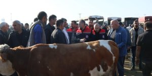 Kars Hayvan Pazarı’nda denetim ve kontrolleri yerinde incelendi