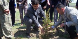 Akyaka’da fidan dikimi yapıldı