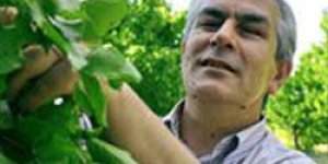 Veteriner Cerrahi Kongresi yapılıyor
