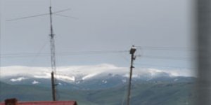 Sarıkamış Beyaza Yüründü