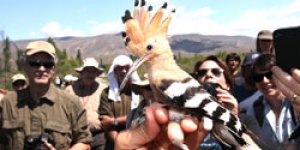 Natıonal Geographıc Karsta