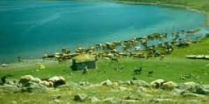 Şenlik daha kapsamlı yapılacak