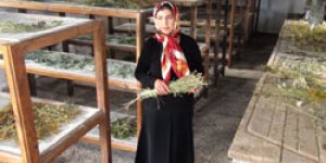 Bitki Kurutma Atölyesi şifa dağıtıyor