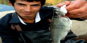 Havuzda Balık Tutma Keyfi