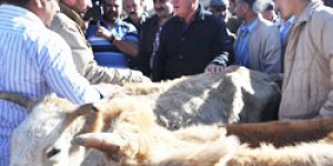CHP’liler çiftçiyi dinledi