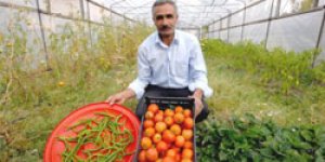Organik Ürünler Satışa Sunuldu