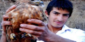 Yaralı şahin tedavi altına alındı
