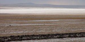 Kuş Cennetini dolu vurdu