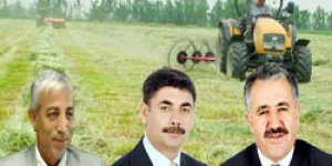 Gürcistandan ot girişleri başladı
