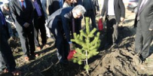 Noterler Birliğinden Hatıra Ormanı