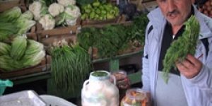 Organik Turşu Dönemi