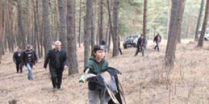 Karaca doğasına geri döndü