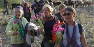 Bitkilerin hayat verdiği köy!