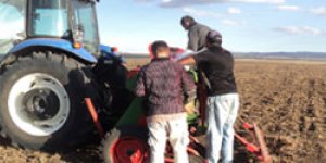 Demonstrasyon amaçlı güzlük ekimleri