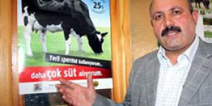 Besiciler Kaygılı
