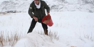 Doğaya Yem Bırakıldı