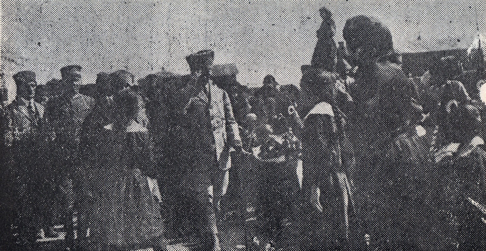 d534.jpg