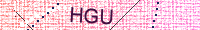 Güvenlik Resmi